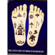 Lotus Feet of Srimati Radharani